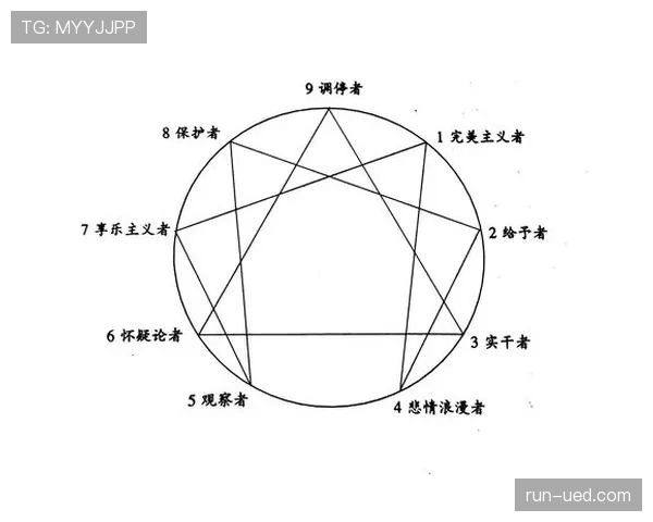 帕尔默大赛表现的稳定性体现在哪些关键维度